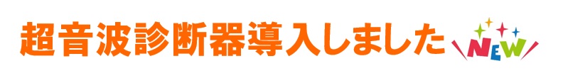 超音波診断器導入